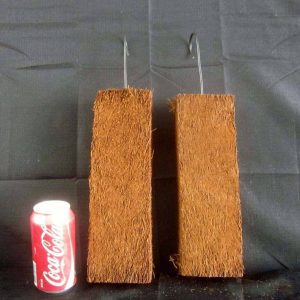 200mm x 100mm Tree Fern Mount