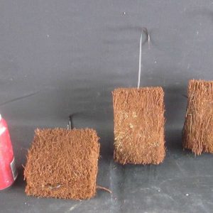 100mm x 100mm Tree Fern Mount