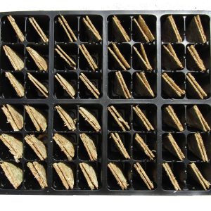 Deflasking Kit