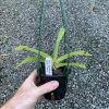 IMG_5377-scaled-1.jpg