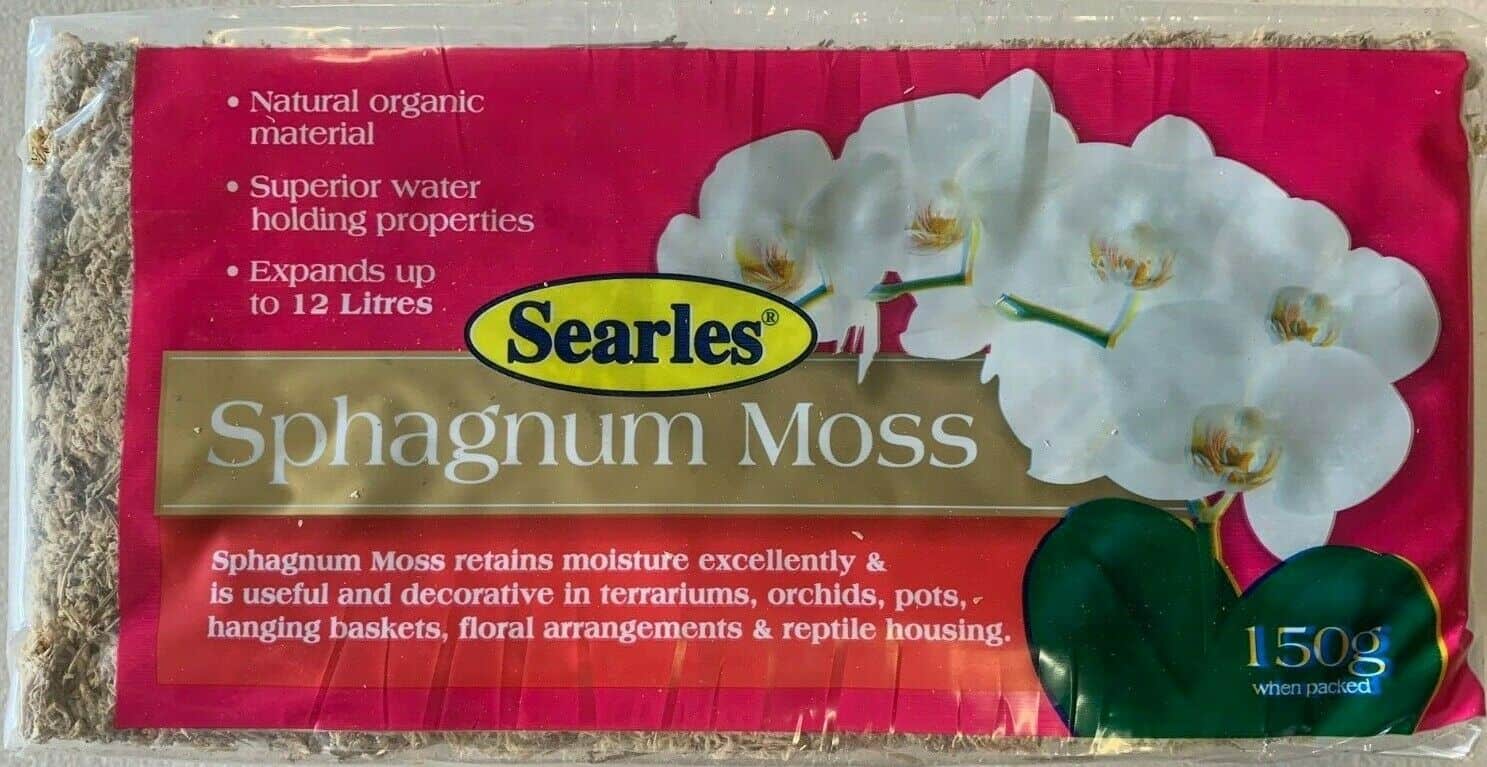 Sphagnum-Moss.jpg