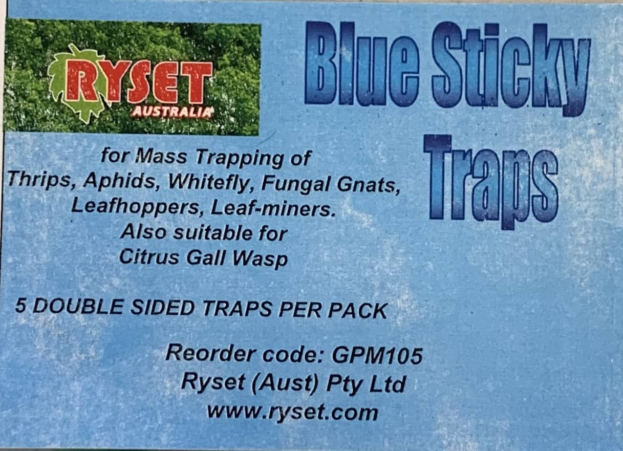blue-stick-trap.jpg
